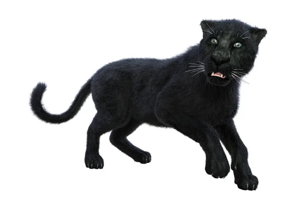 3D Rendering Black Panther on White — Stock Photo, Image