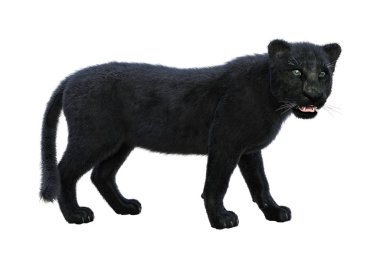 3D render Kara Panter beyaz
