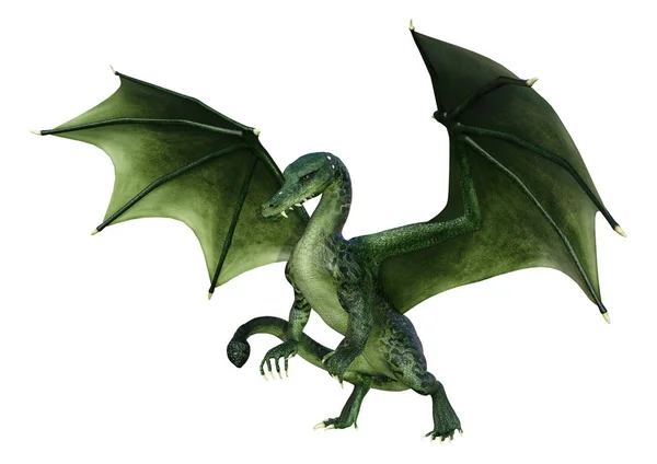 3D rendering Saga Dragon på vit — Stockfoto