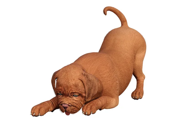 Beyaz üzerinde 3D render Puppy — Stok fotoğraf