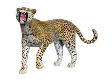 3D render büyük kedi Leopard üzerinde beyaz