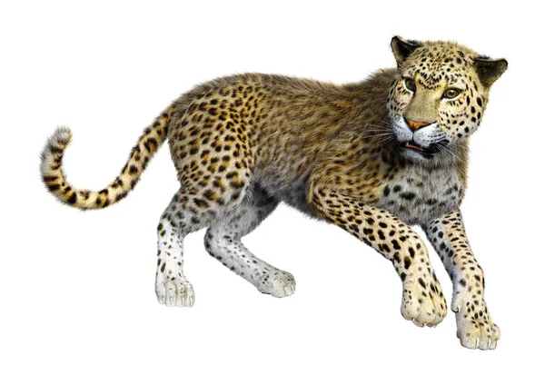 3D render büyük kedi Leopard üzerinde beyaz — Stok fotoğraf