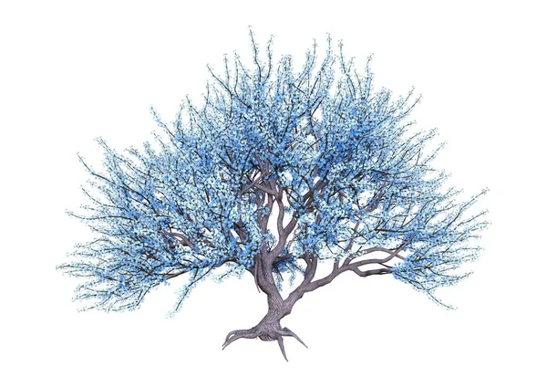 Prostorové vykreslování modrá Kvetoucí strom na bílém — Stock fotografie