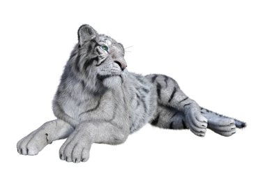 3D beyaz beyaz kaplan oluşturma