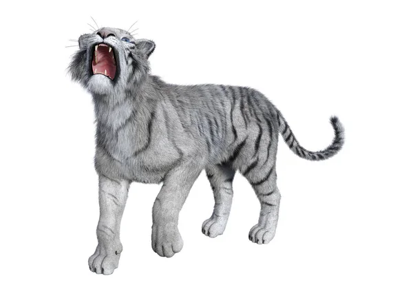 3D Рендеринг белого тигра на белом — стоковое фото