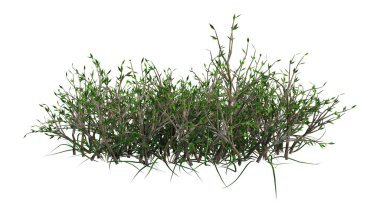 3D Rendering Patch of Grass on White clipart