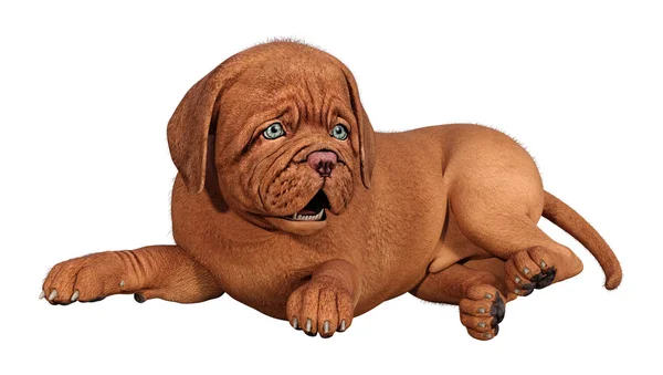 3D rendering puppy op wit — Stockfoto