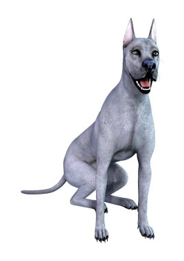 3D Render mavi büyük Dane köpeği beyaz
