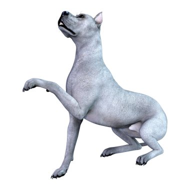 3D Render mavi büyük Dane köpeği beyaz