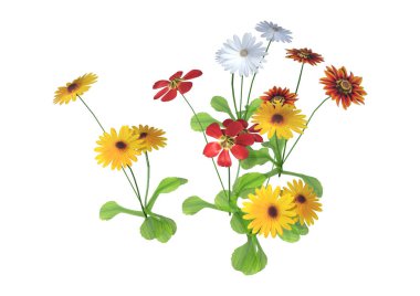 3d Rendering Papatya Çiçekler Beyaz