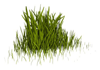 Çimenlerin üzerinde beyaz bir 3D render yama