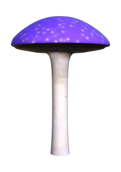 Ilustração 3D Fly Agaric Cogumelo em Branco — Fotografia de Stock