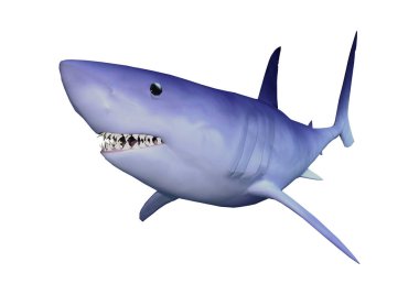 Beyaz 3D render köpekbalığı