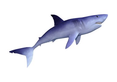 Beyaz 3D render köpekbalığı