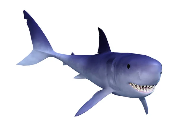 Tiburón de renderizado 3D en blanco — Foto de Stock