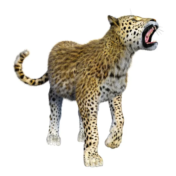 3D rendering μεγάλη γάτα λεοπάρδαλη σε λευκό — Φωτογραφία Αρχείου