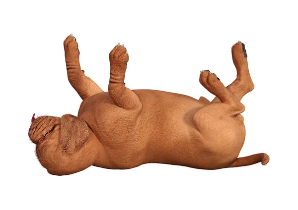 Filhote de cachorro de renderização 3D em branco — Fotografia de Stock