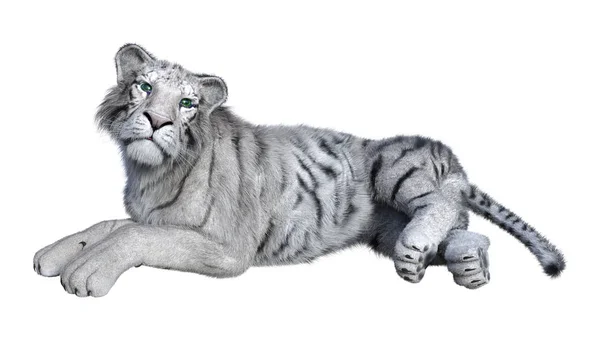 3D que rinde el tigre blanco en blanco — Foto de Stock
