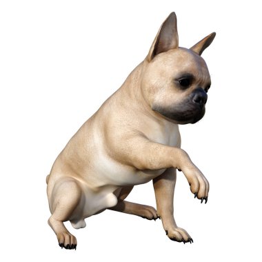 Beyaz üzerinde 3D render Fransız Bulldog