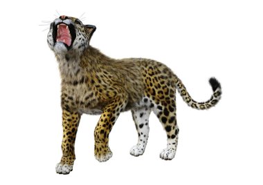 3D render büyük kedi Jaguar beyaz