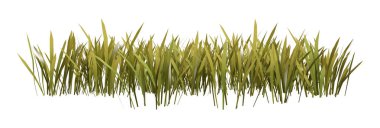 Çimenlerin üzerinde beyaz bir 3D render yama