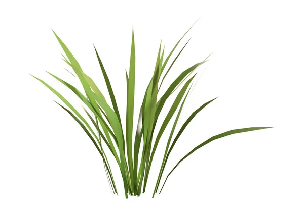 3D Rendering Patch of Grass on White — Stock Photo, Image