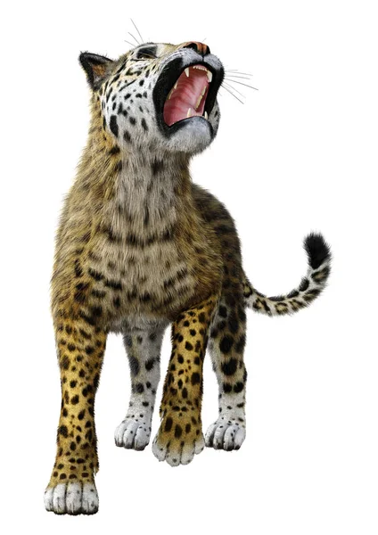 3D rendering stor katt Jaguar på vit — Stockfoto