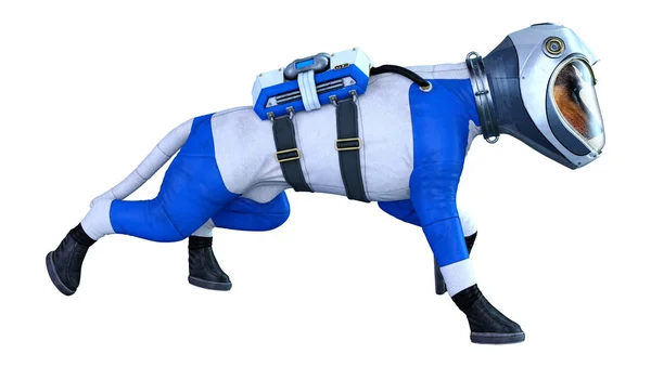3D Rendering Astronaut Dog on White — Stock Photo, Image