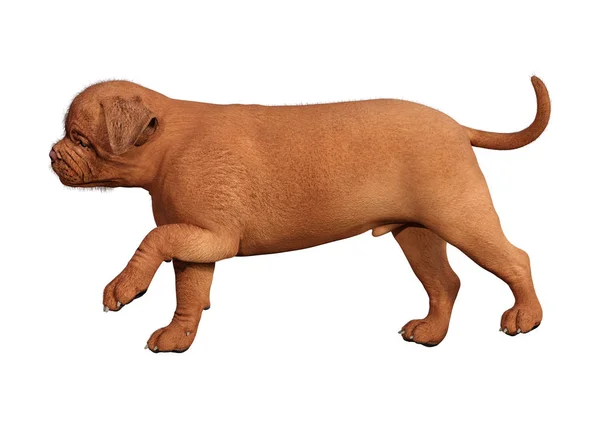 Beyaz üzerinde 3D render Puppy — Stok fotoğraf