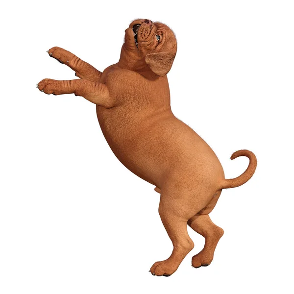 Beyaz üzerinde 3D render Puppy — Stok fotoğraf