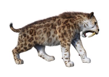 3D render Sabertooth kaplan beyaz