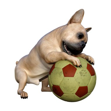 Beyaz üzerinde 3D render Fransız Bulldog