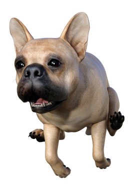 Beyaz üzerinde 3D render Fransız Bulldog