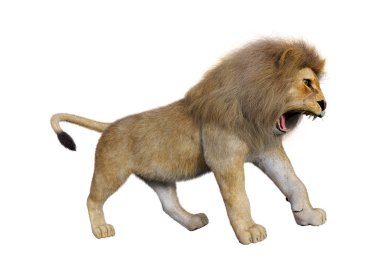 Beyaz üzerine 3D render erkek aslan