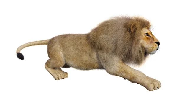 Singa Pria Rendering 3D di Putih — Stok Foto