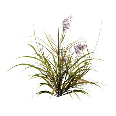 Çimenlerin üzerinde beyaz bir 3D render yama