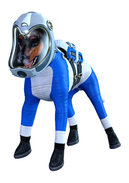 3D Rendering Astronaut Dog on White — Stock Photo, Image