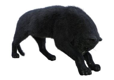 3D render Kara Panter beyaz