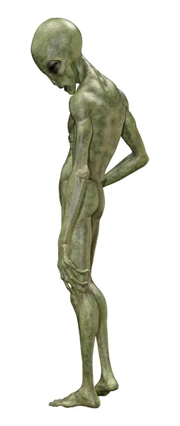 3D Rendering Green Alien on White — Stock Photo, Image