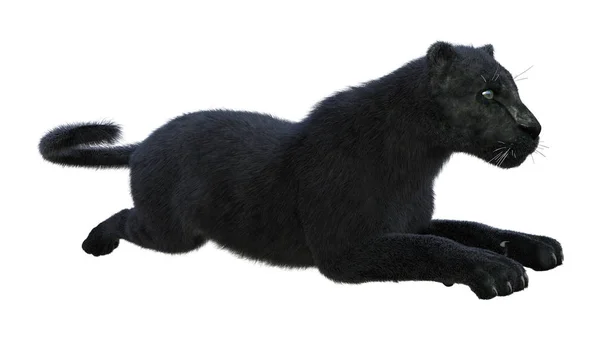 Representación 3D Pantera Negra en Blanco — Foto de Stock