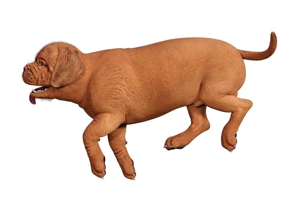 Representación 3D de cachorro en blanco — Foto de Stock