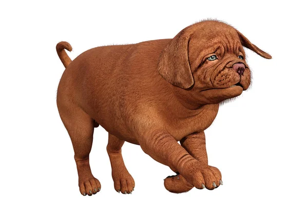 3D rendering puppy op wit — Stockfoto