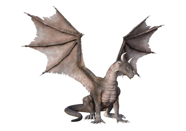 3D rendering Saga Dragon på vit — Stockfoto