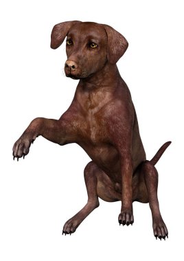 3D render genç çocuk beyaz