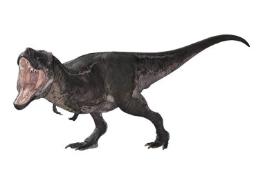 3D render Tyrannosaurus Rex beyaz