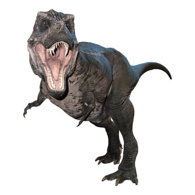 3D render Tyrannosaurus Rex beyaz