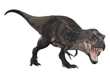 3D render Tyrannosaurus Rex beyaz