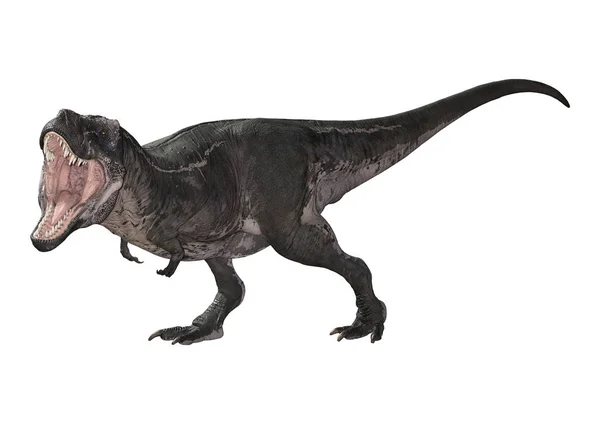 3D Rendering Tyrannosaurus rex auf weiß — Stockfoto