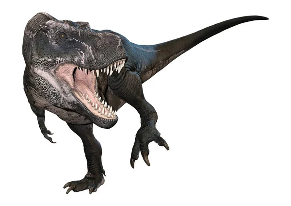 3D render Tyrannosaurus Rex beyaz — Stok fotoğraf