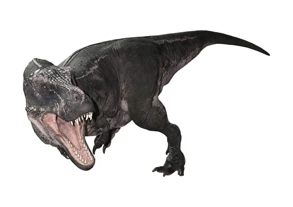 Rendu 3D Tyrannosaurus Rex sur blanc — Photo